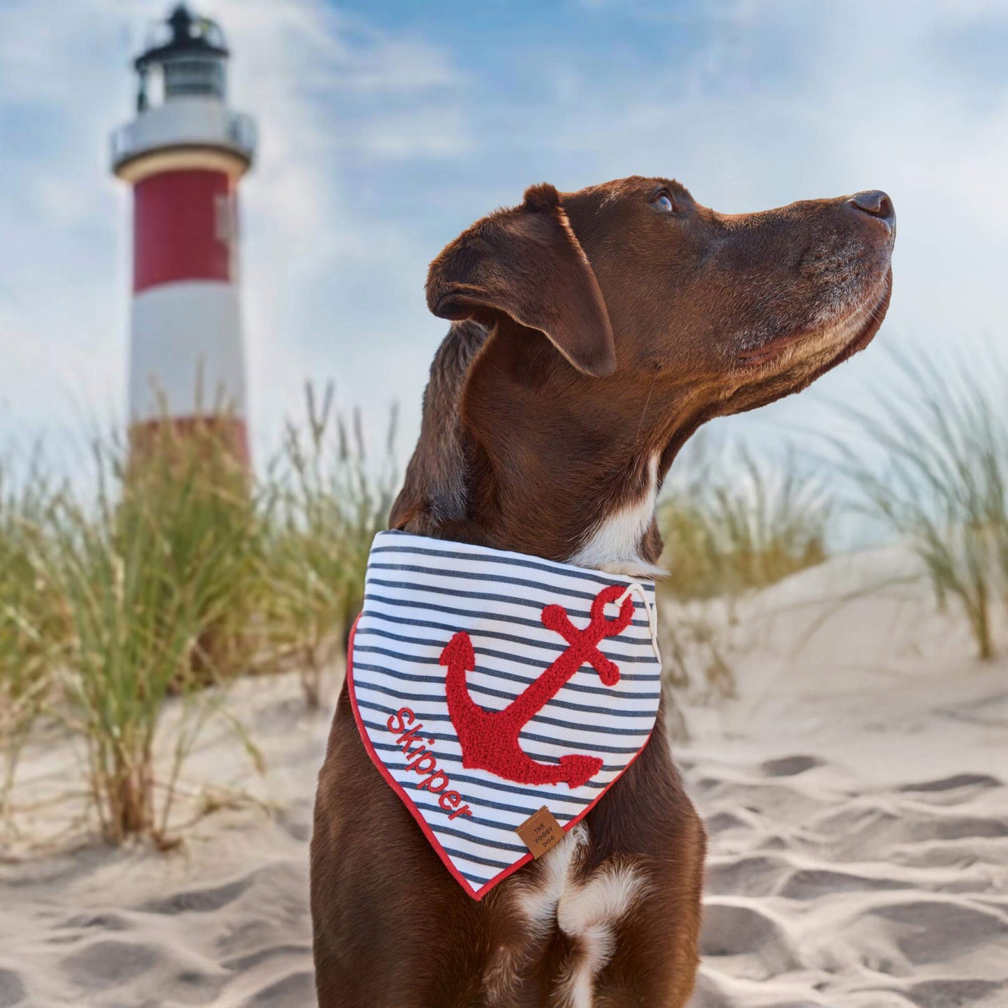 ANCHOR APPLIQUE DOG BANDANA