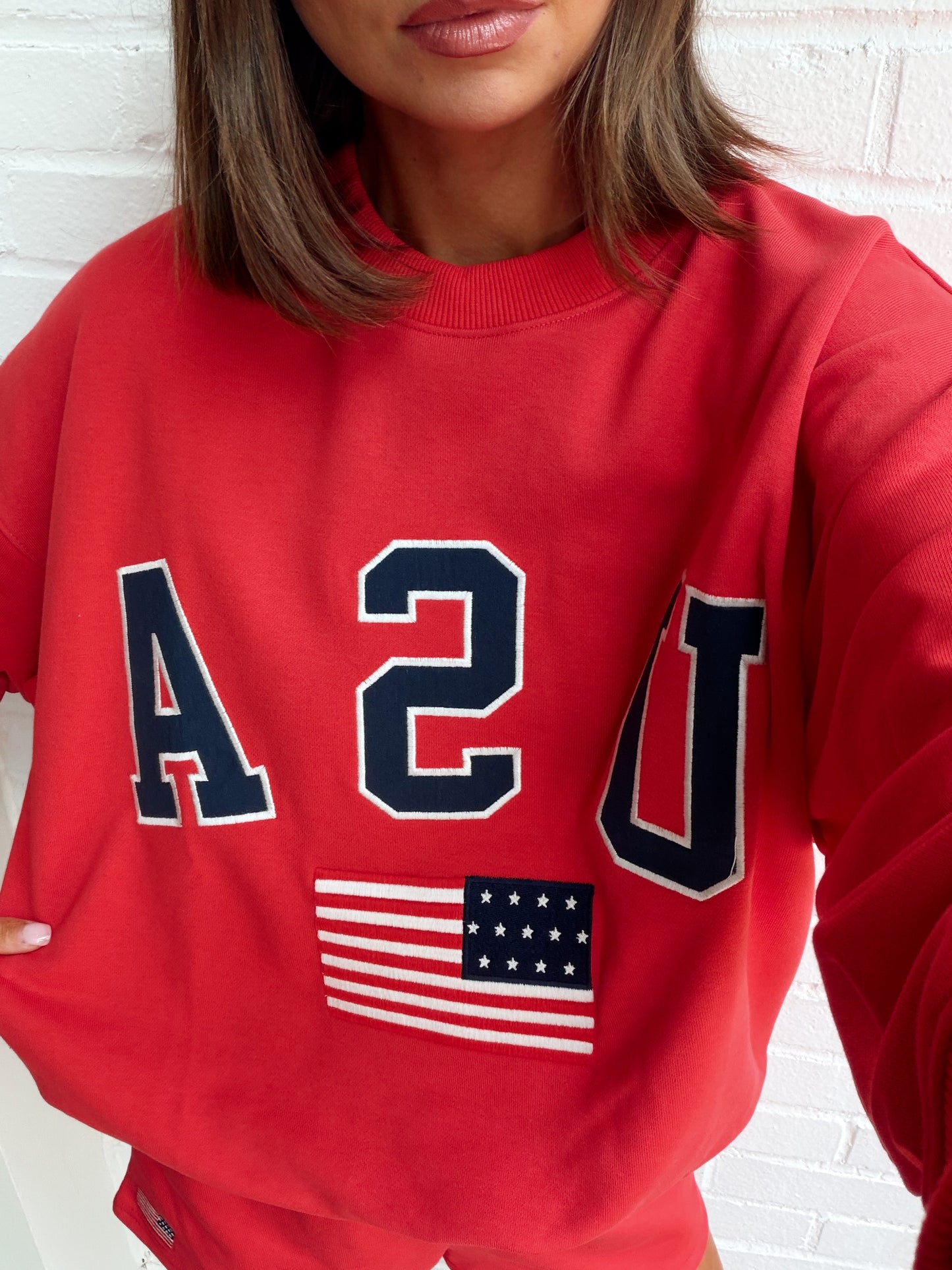 USA OVERSIZED SWEATSHIRT