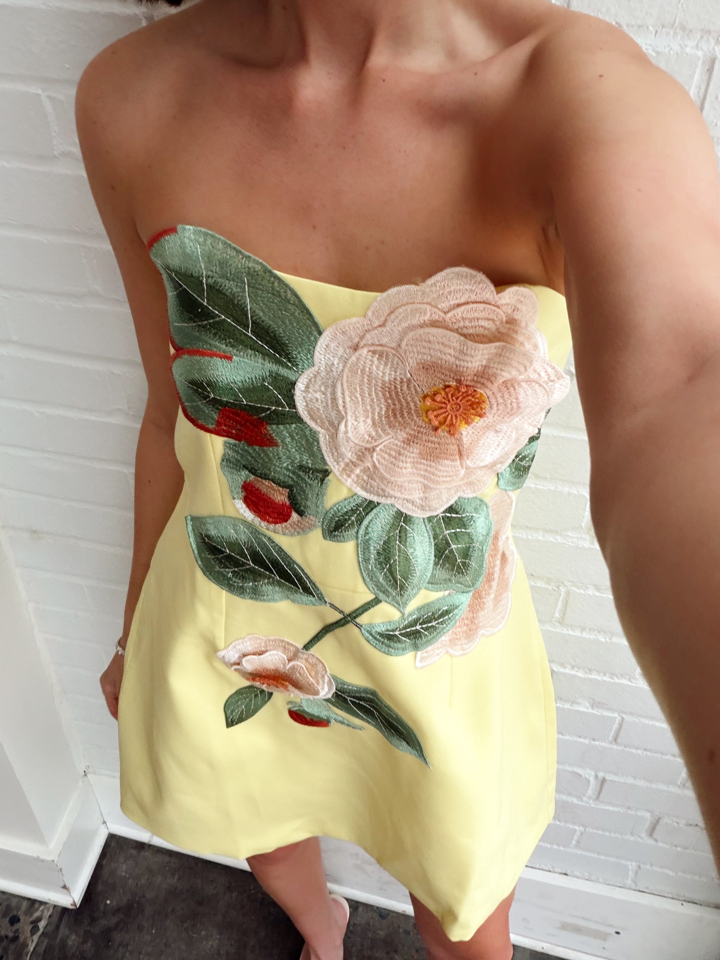 STRAPLESS EMBROIDERED FLORAL DRESS – SteamRoller Blues Heights