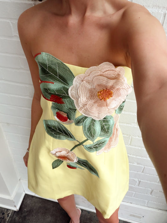 STRAPLESS EMBROIDERED FLORAL DRESS