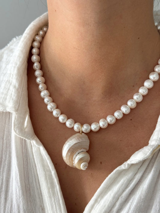 TURBO SHELL NECKLACE PEARL