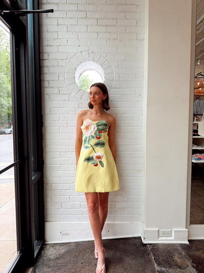 STRAPLESS EMBROIDERED FLORAL DRESS