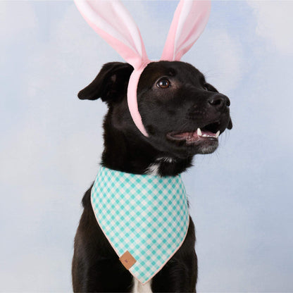 HOPPY EASTER REVERSIBLE DOG BANDANA