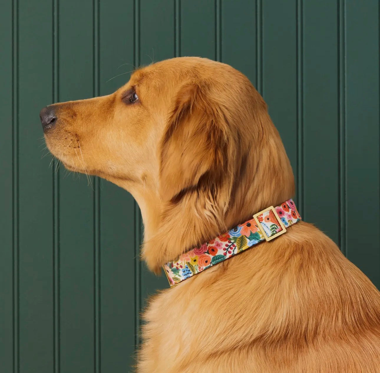 GARDEN PARTY DOG COLLAR