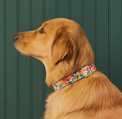 GARDEN PARTY DOG COLLAR