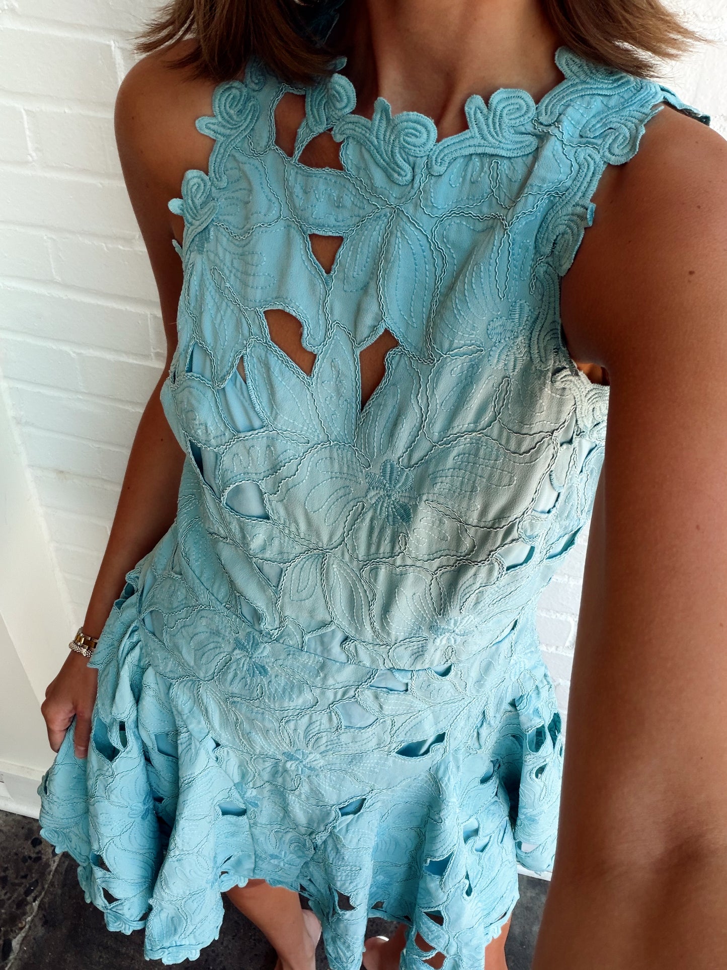 FRANCI EMBROIDERED MINI DRESS