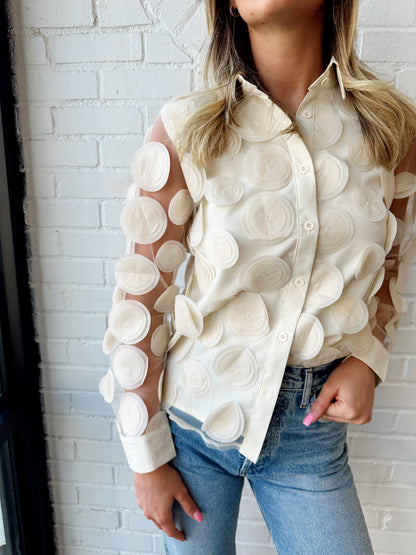 SHEER MESH EMBROIDERED LONG SLEEVE BLOUSE