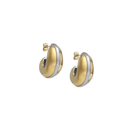MICKEY HOOPS
