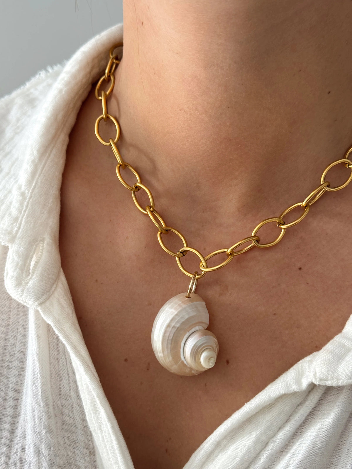 Shell On Chain TURBO SHELL NECKLACE CHAIN – SteamRoller Blues Heights