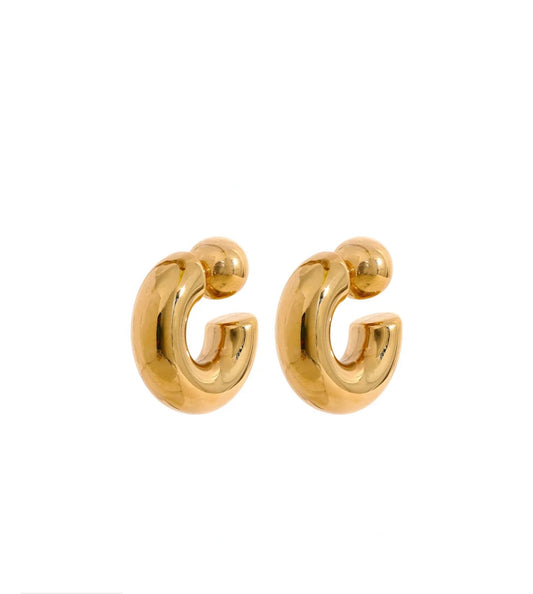 ASHLEY HOOPS